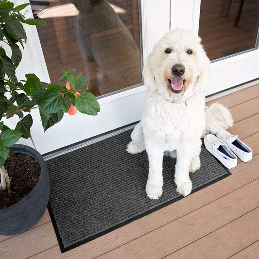 Notrax Brush Step Carpeted Indoor/Outdoor Entrance Mat for Home or Office - Lima Deals