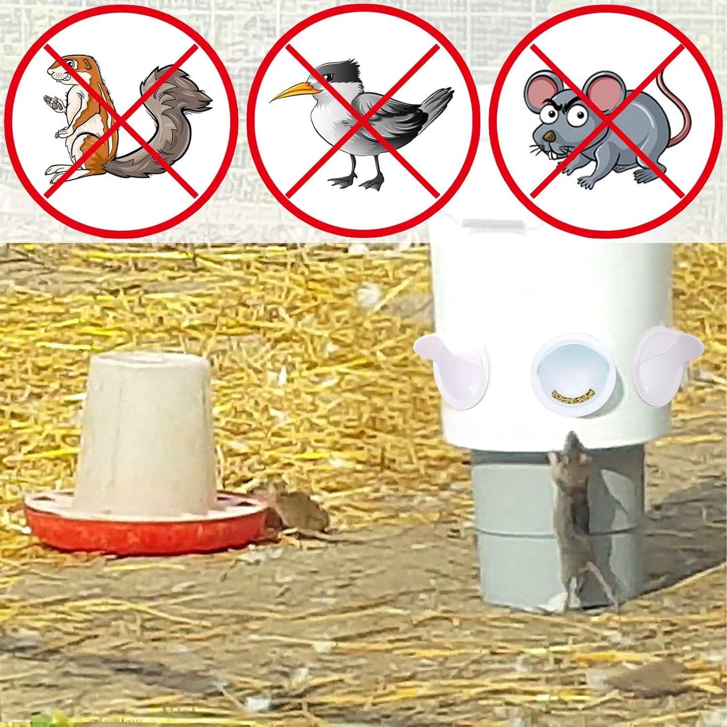 No-Waste DIY Chicken Poultry Feeder Ports Gravity Automatic Kit for Buckets, Barrels, Bins, and Troughs