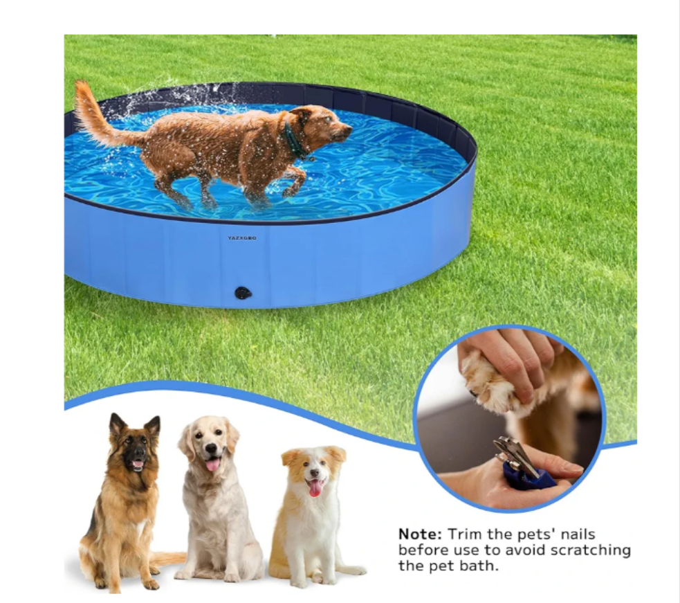 Foldable 62" Outdoor Dog Pool