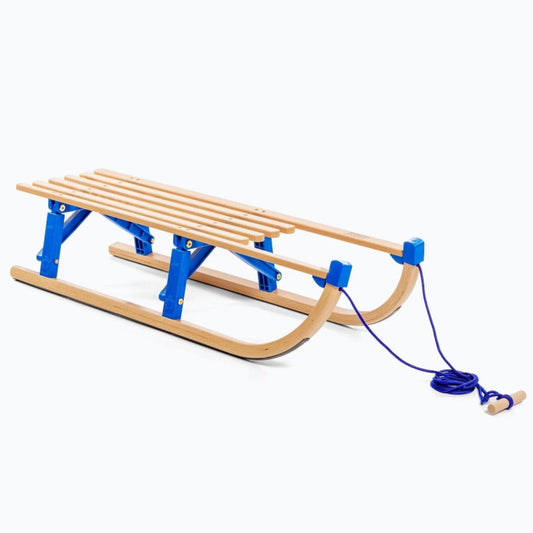 VTsport Foldable Sled